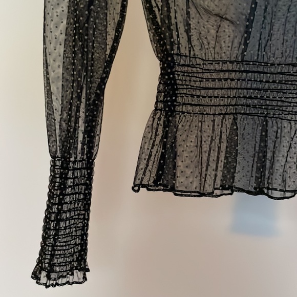 Zara Sheer Blouse - Picture 2 of 4